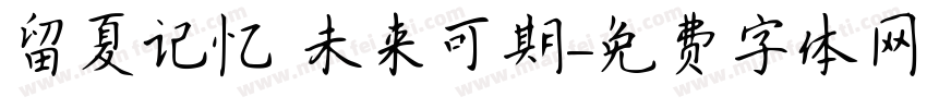 留夏记忆 未来可期字体转换
